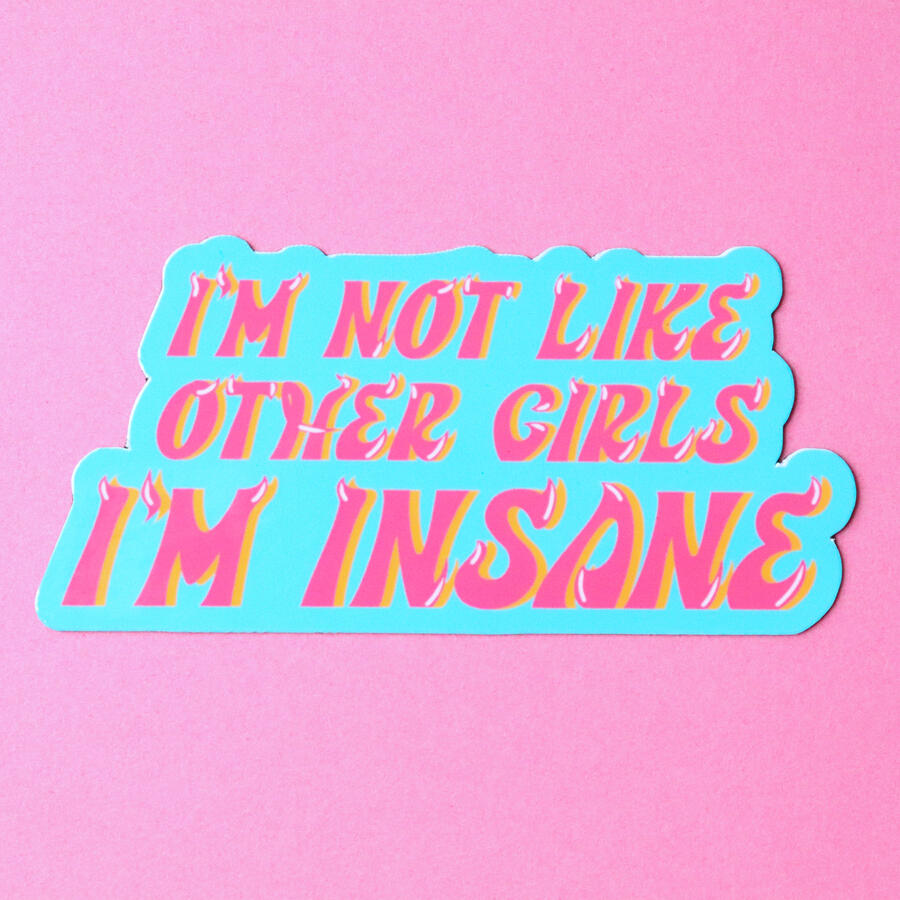 not like other girls magnet